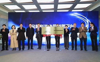 北京金融科技與專業服務創新示范區核心區建設啟動 張亮副秘書長出席座談并見證